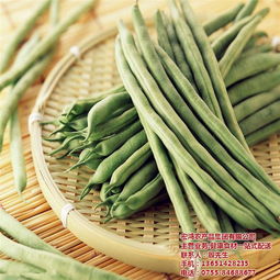 宏鴻農(nóng)產(chǎn)品集團 以專業(yè)配送引領有機蔬菜新風尚